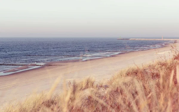 Salz, Stürme und das Meer: Aufstieg und Fall der mittelalterlichen nordfriesischen Küstenlandschaft (